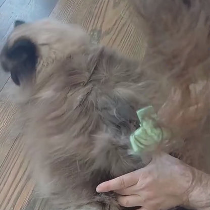 DUO QUITAPELOS PRO (GUANTE + PEINE) - ¡MENOS PELOS, MENOS ESTRÉS!